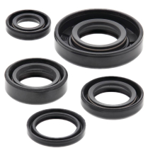 ENGINE OIL SEAL KIT