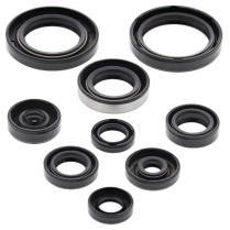 ENGINE OIL SEAL KIT