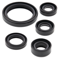ENGINE OIL SEAL KIT