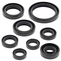 ENGINE OIL SEAL KIT