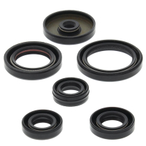 ENGINE OIL SEAL KIT