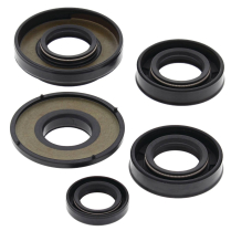 ENGINE OIL SEAL KIT