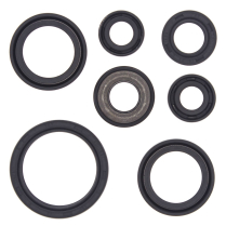 ENGINE OIL SEAL KIT
