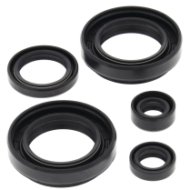 ENGINE OIL SEAL KIT