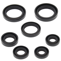 ENGINE OIL SEAL KIT