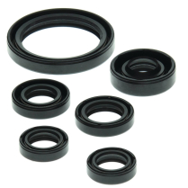 ENGINE OIL SEAL KIT