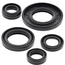 ENGINE OIL SEAL KIT