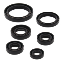 ENGINE OIL SEAL KIT