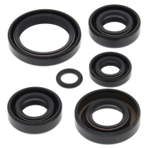 ENGINE OIL SEAL KIT