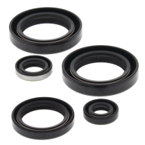 ENGINE OIL SEAL KIT