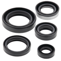 ENGINE OIL SEAL KIT