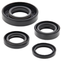 ENGINE OIL SEAL KIT
