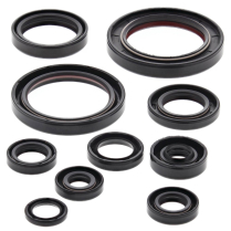 ENGINE OIL SEAL KIT