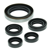 ENGINE OIL SEAL KIT