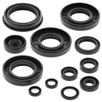 ENGINE OIL SEAL KIT