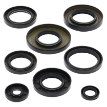 ENGINE OIL SEAL KIT