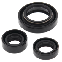 ENGINE OIL SEAL KIT