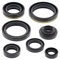 ENGINE OIL SEAL KIT