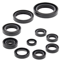 ENGINE OIL SEAL KIT