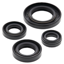 ENGINE OIL SEAL KIT
