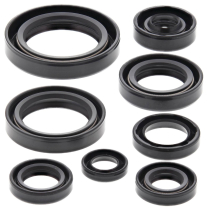 ENGINE OIL SEAL KIT