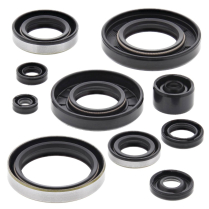 ENGINE OIL SEAL KIT