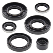 ENGINE OIL SEAL KIT