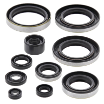 ENGINE OIL SEAL KIT