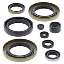 ENGINE OIL SEAL KIT