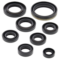 ENGINE OIL SEAL KIT