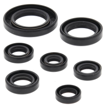 ENGINE OIL SEAL KIT