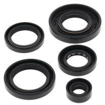 ENGINE OIL SEAL KIT