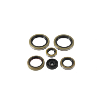 ENGINE OIL SEAL KIT
