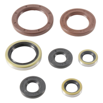 ENGINE OIL SEAL KIT