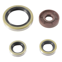 ENGINE OIL SEAL KIT