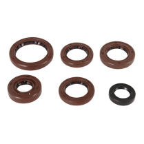 ENGINE OIL SEAL KIT