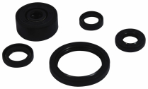 ENGINE OIL SEAL KIT