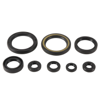 ENGINE OIL SEAL KIT