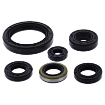 ENGINE OIL SEAL KIT