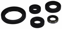 ENGINE OIL SEAL KIT