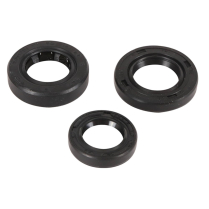 ENGINE OIL SEAL KIT