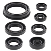 ENGINE OIL SEAL KIT