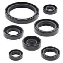 ENGINE OIL SEAL KIT
