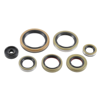 ENGINE OIL SEAL KIT
