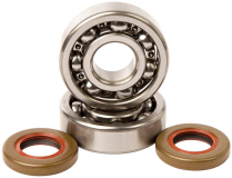 BEARING & SEAL KIT KTM 65X 03/05