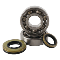 BEARING & SEAL KITS RM 250 03-07