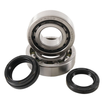 BEARING & SEAL KITS TRX 450 04-05