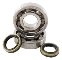 BEARING & SEAL KITS RM 250 05-08