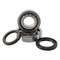KIT BEARING HONDA 450X
