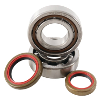 MAIN BEARING & SEAL KITS